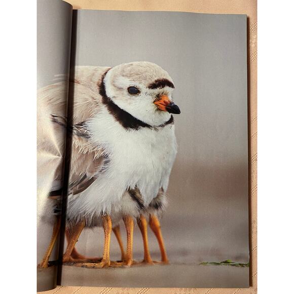 National Geographic Magazine May 2012 Eyewitness To The Civil War EUC - Picture 11 of 16